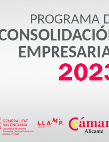 ¡Diseña el plan estratégico y de consolidación de tu Empresa! – Programa de Consolidación Empresarial 2023
