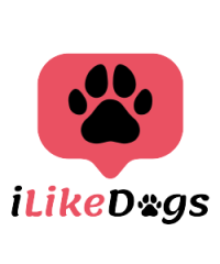 iLikeDogs