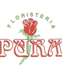 Floristería Pura