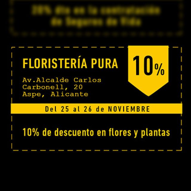 BLACK FRIDAY – FLORISTERÍA PURA