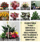 Regala Flores – Floristería Pura