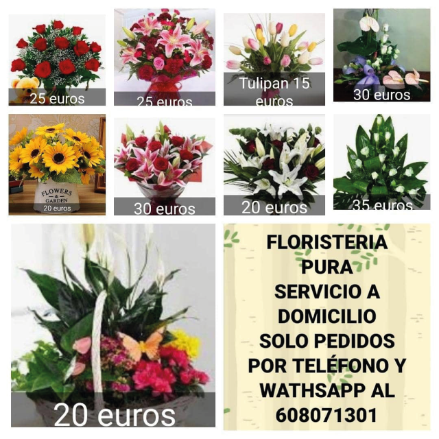 Regala Flores – Floristería Pura