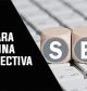 Webinar | Capta clientes para tu empresa con una estrategia SEO Efectiva